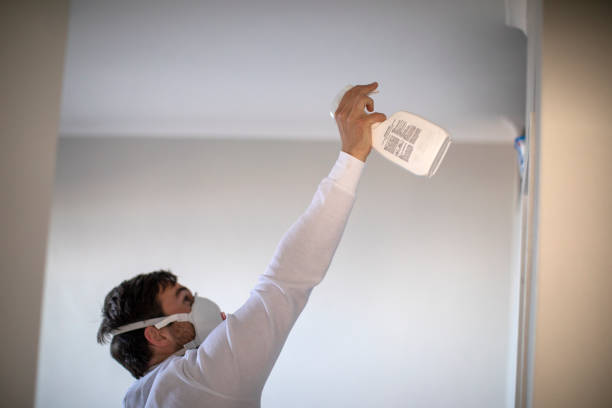 Best Certified Mold Removal  in Park City, KS