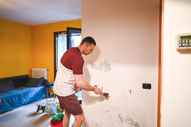 Best Emergency Mold Removal  in Park City, KS