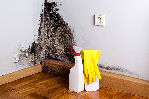 Crawl Space Mold Removal in Park City, KS